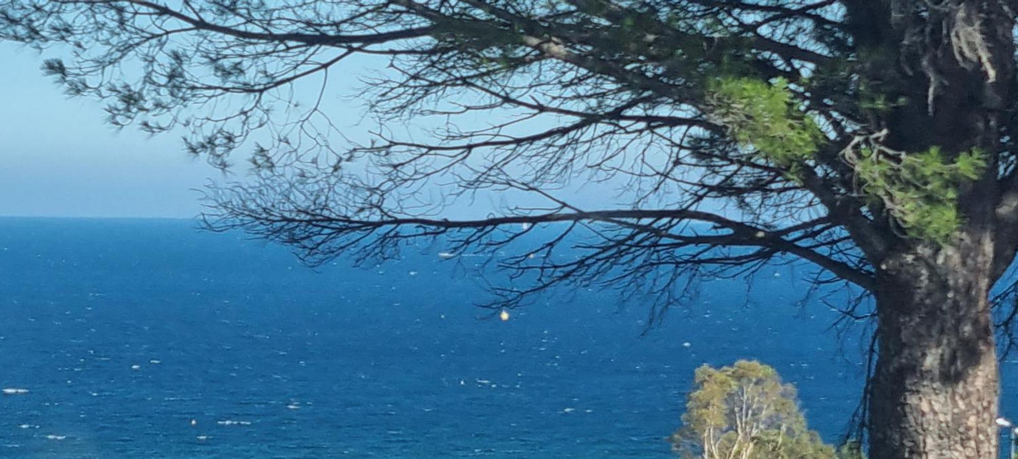 Chambre De Luxe, Spa, Piscine, Entre Mer Et Montagne Villelongue-dels-Monts Εξωτερικό φωτογραφία